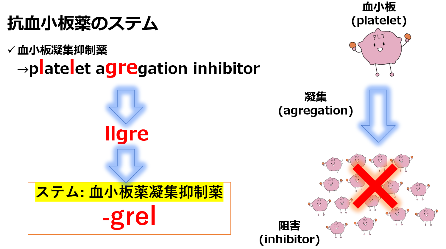 ヤクトリ薬理学・一般名と商品名の由来。ADP受容体拮抗薬の覚え方 ヤクハク!