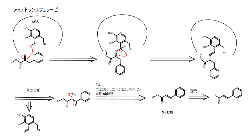 ヤクハク薬理にも繋がる!生薬由来成分を有機化学的な視点で勉強する方法。 ヤクハク!